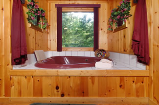 Maroon Heart Shaped whirl pool with a window behind it with the woods as a view from the window